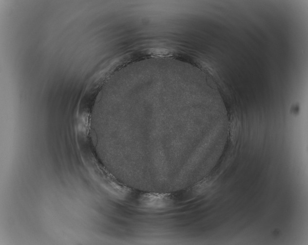 X0000115120093200911171338