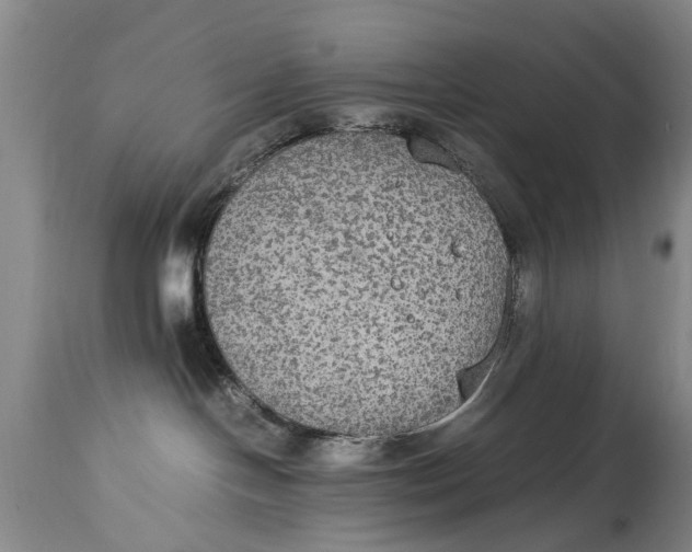 X0000115120094200911171338