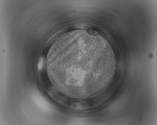 X0000115120095200911171338