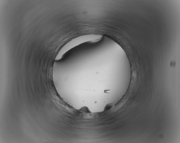 X0000115120096200911171338