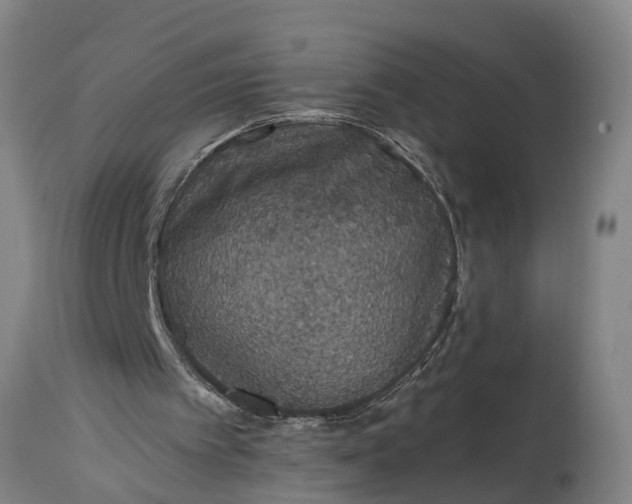 X0000115120097200911171337