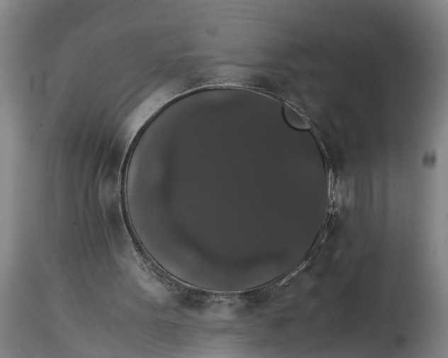 X0000115120099200911171337
