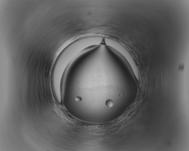 X0000115120100200911171337