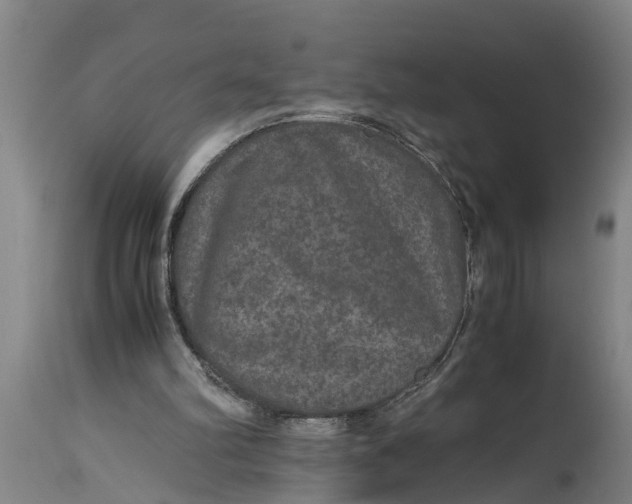 X0000115120102200911171337