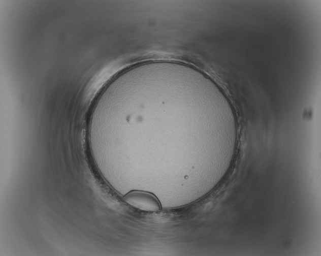 X0000115120103200911171337