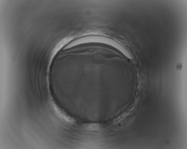 X0000115120104200911171337