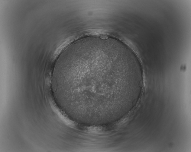 X0000115120105200911171337
