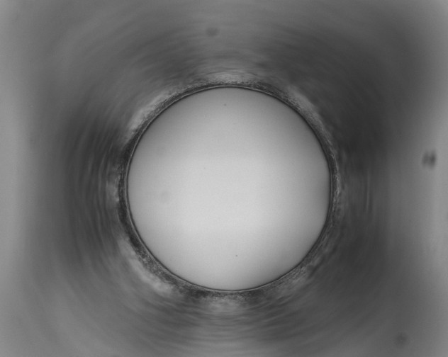 X0000115120106200911171337