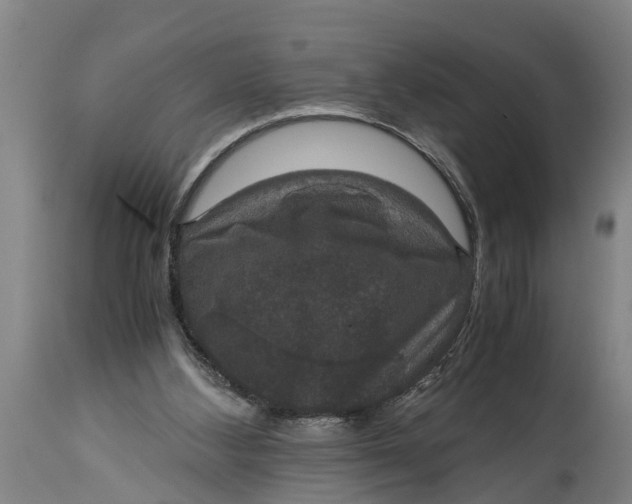 X0000115120108200911171337