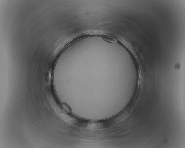X0000115120109200911171337