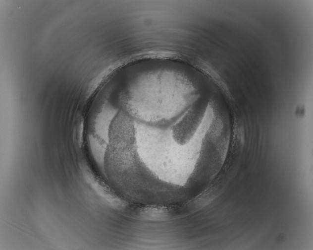 X0000115120110200911171337