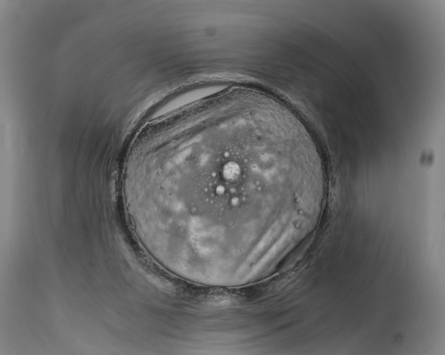 X0000115120111200911171337