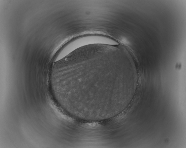 X0000115120112200911171337