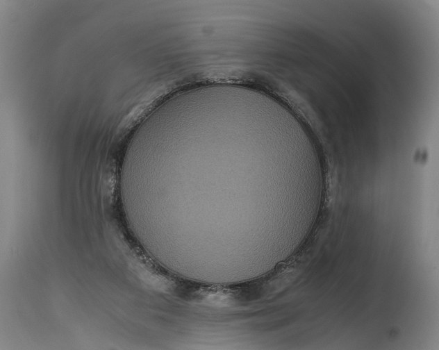 X0000115120113200911171337