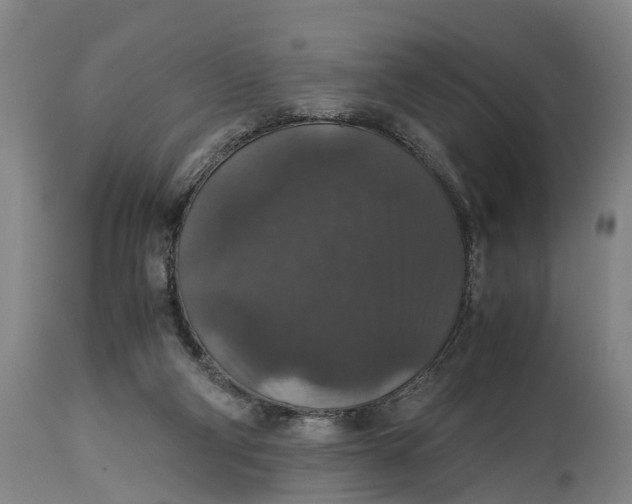 X0000115120114200911171337