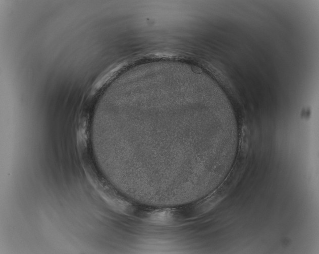 X0000115120116200911171337