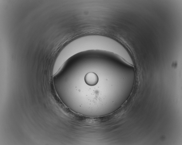 X0000115120117200911171337
