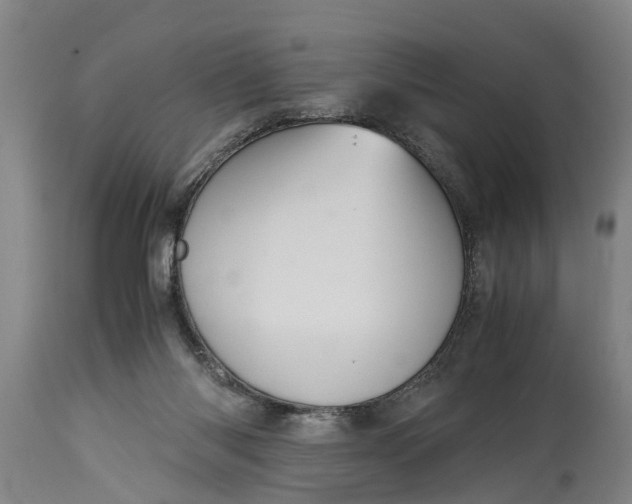 X0000115120118200911171337