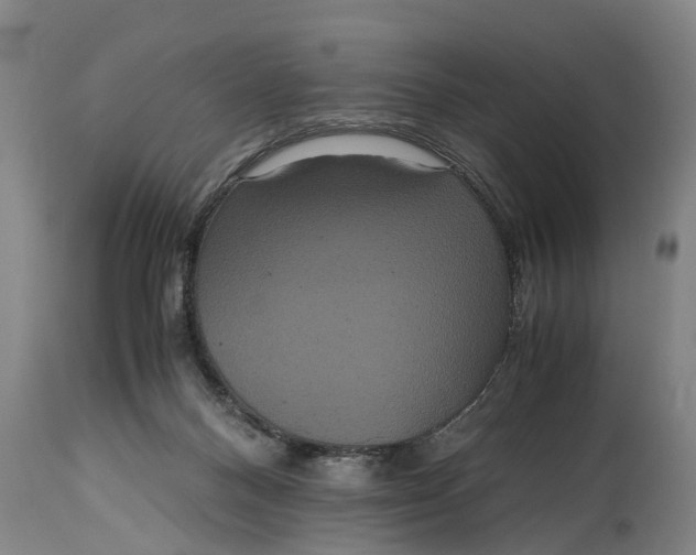 X0000115120120200911171337