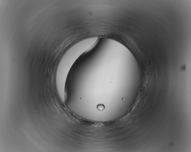 X0000115120124200911171337