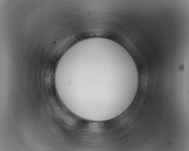 X0000115120126200911171337