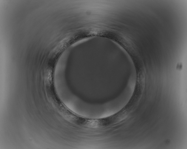 X0000115120127200911171337