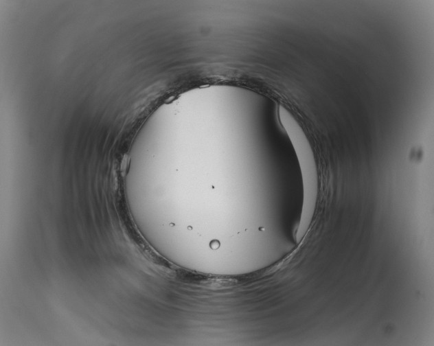 X0000115120128200911171337