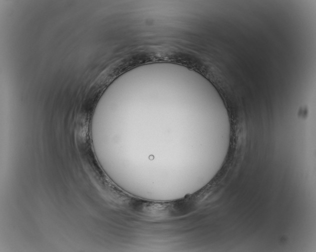 X0000115120129200911171337