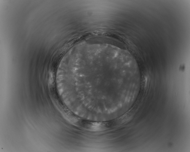 X0000115120130200911171337