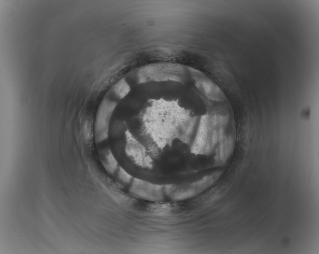 X0000115120131200911171337