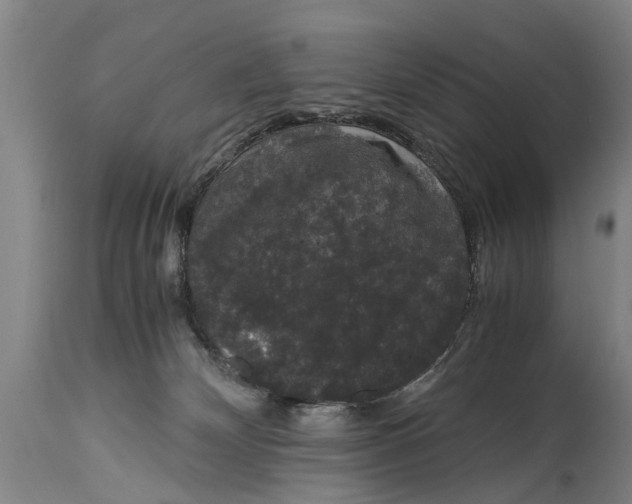 X0000115120132200911171337