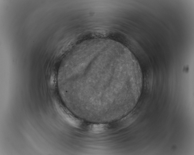 X0000115120134200911171337