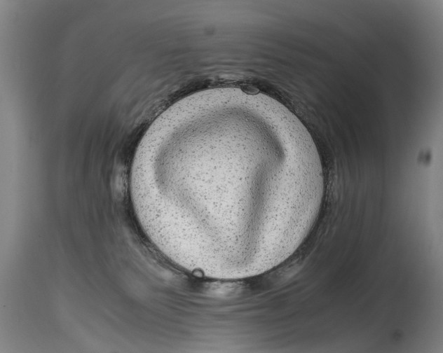 X0000115120135200911171337