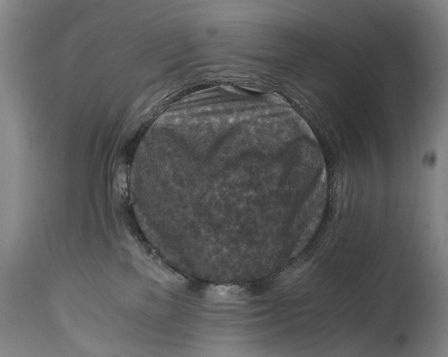 X0000115120137200911171337
