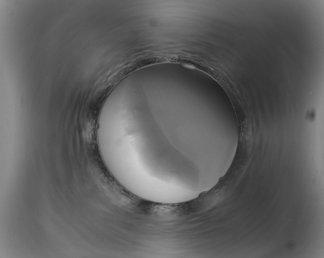 X0000115120139200911171337