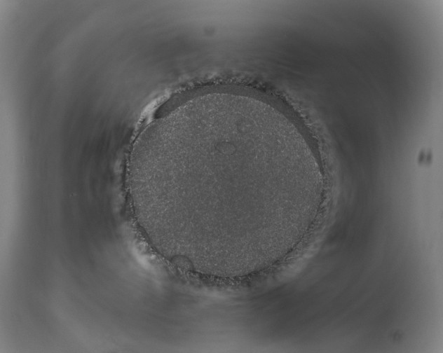 X0000115120144200911171337