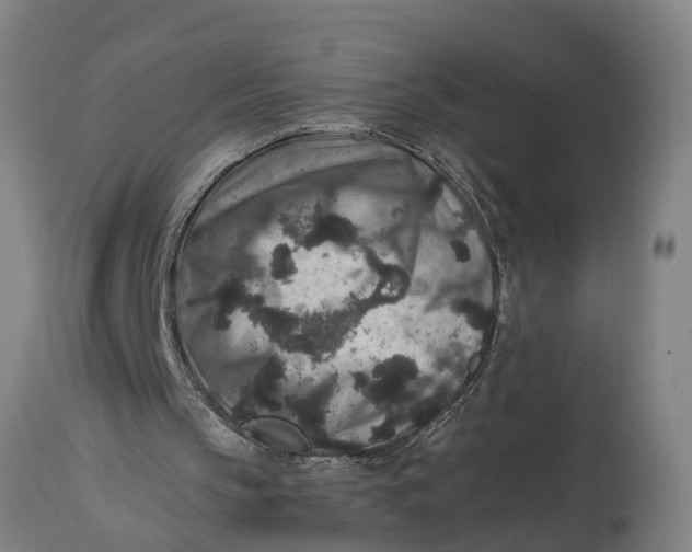 X0000115120145200911171336