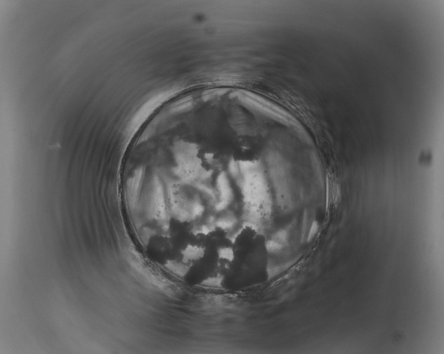 X0000115120147200911171336