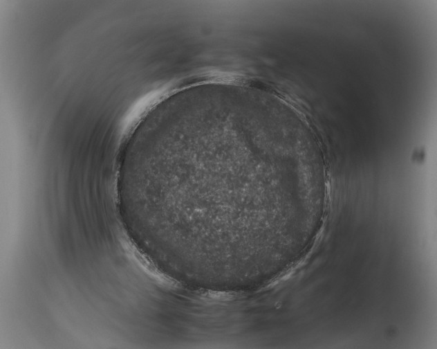 X0000115120149200911171336
