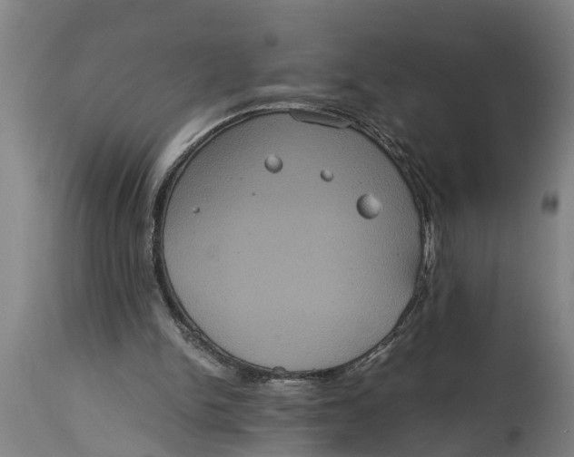 X0000115120150200911171336