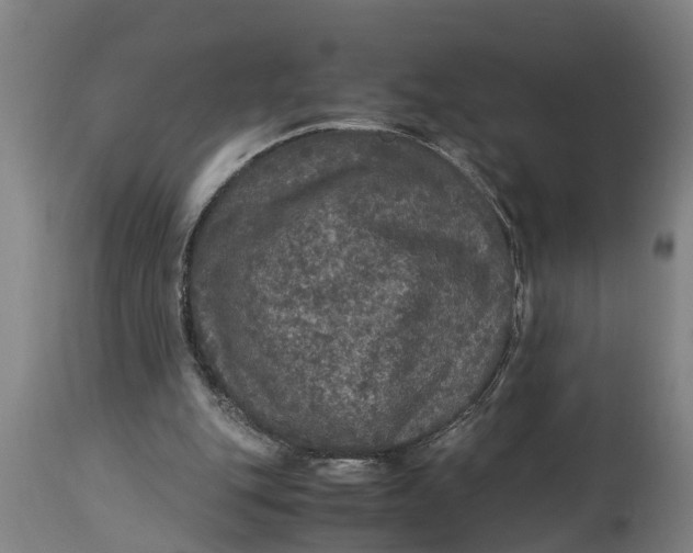 X0000115120151200911171336