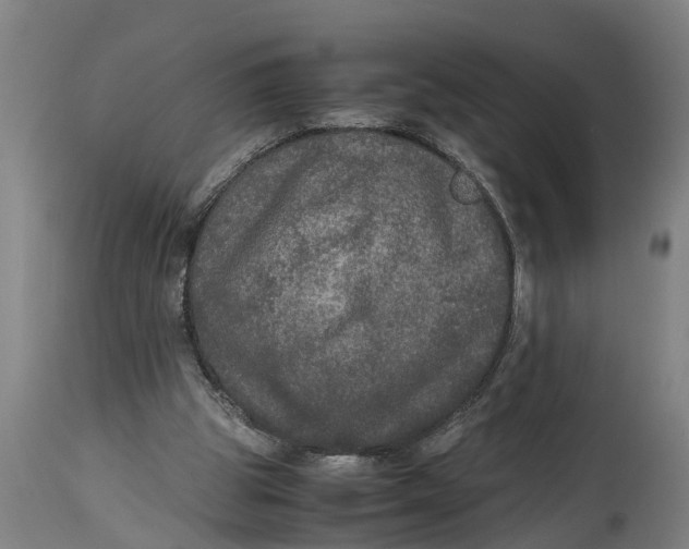X0000115120153200911171336