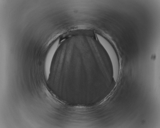 X0000115120154200911171336