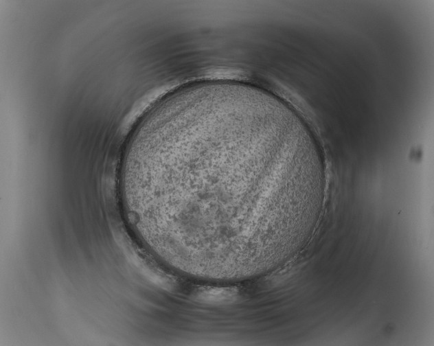X0000115120155200911171336