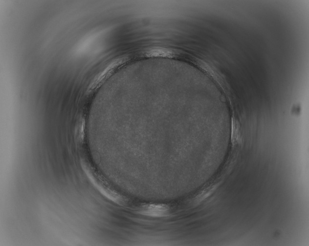 X0000115120157200911171336