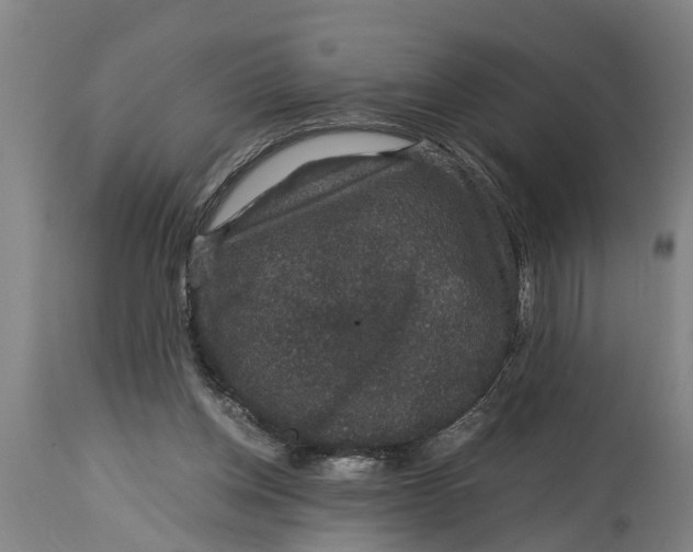 X0000115120158200911171336