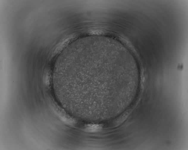 X0000115120161200911171336
