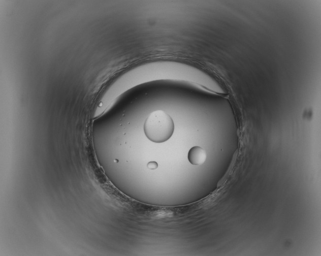 X0000115120162200911171336