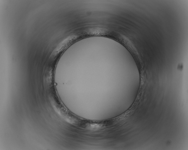 X0000115120163200911171336