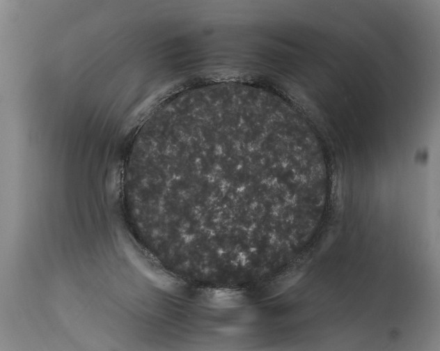 X0000115120165200911171336